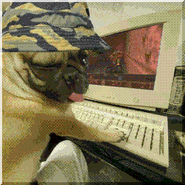 a pug wearing a camo bucket hat sits at an old computer playing QUAKE (1996) on a CRT monitor.
